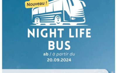 Night Life Bus