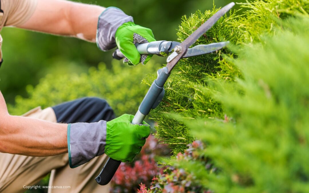 Travaux de jardinage – Interdiction de stationnement