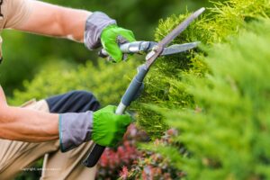 Travaux de jardinage – Interdiction de stationnement