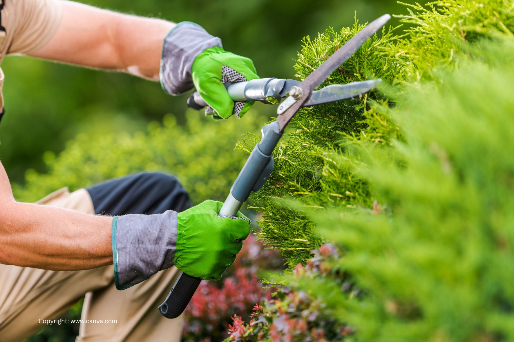 Travaux de jardinage – Interdiction de stationnement